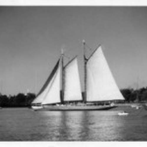 The schooner Seneca or Bernice off RCYC in the late 50s